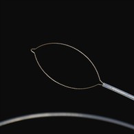 Prong type foreign body forceps .