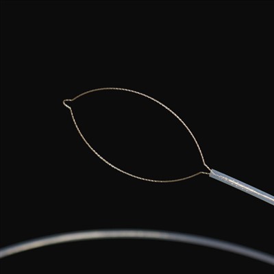 Tipo ti panga a ganggannaet a bagi a forceps .